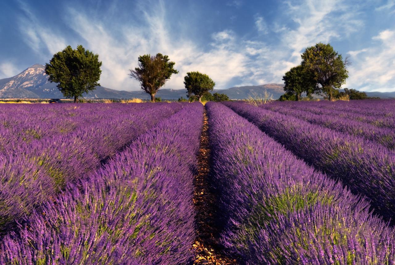 Mas Coeur De Provence Calme Luxe Grand Parc Villa Pernes-les-Fontaines Exteriör bild